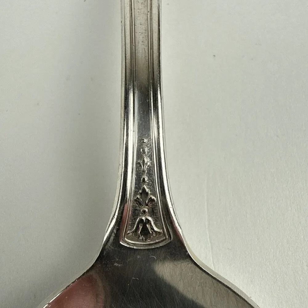 50-piece Set Tudor Plate Oneida Community Enchantment Bounty Silverware In Chest
